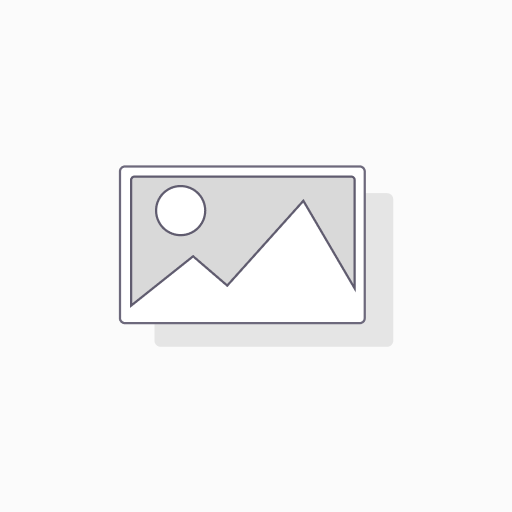 [EV-CUSTOM] Custom Branding (logo & colour)